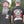 Beards Never Die Zombie T- Shirt